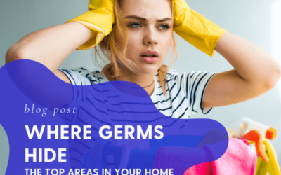 Where Are Germs Most Common in My Home?